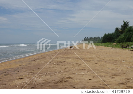Tropical sandy beach in Sri Lanka 41739739