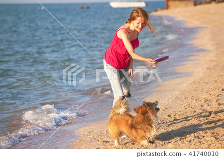 girl playing with a dog on the beach girl playing with a dog on the beach 41740010