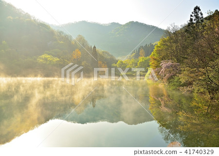 這是一個出租車春日！ 41740329