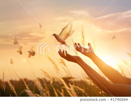 Woman praying and free birds on sunset background 41740894