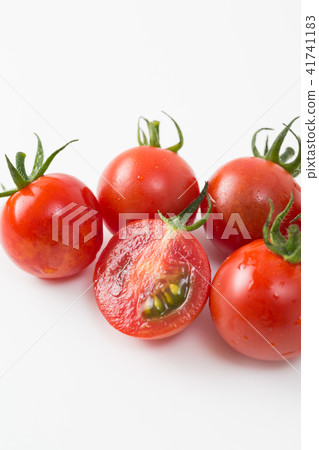  Mini Tomato 41741183
