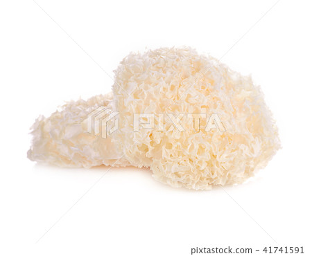 tremella fuciformis white fungus tremella fuciformis white fungus 41741591