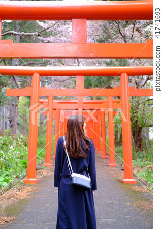 稻荷神社鳥居 稻荷神社鳥居 41741693