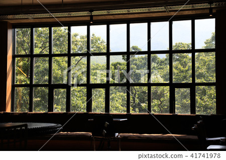 Trees visible through the window 41741978