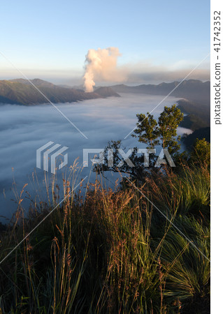 Mount bromo seen from the height Mt Semeru Mount bromo seen from the height Mt Semeru 41742352