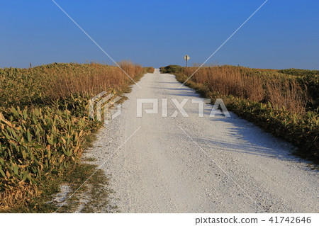 北海道稚內白道 41742646