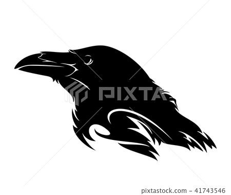 raven bird profile head black and white vector  41743546