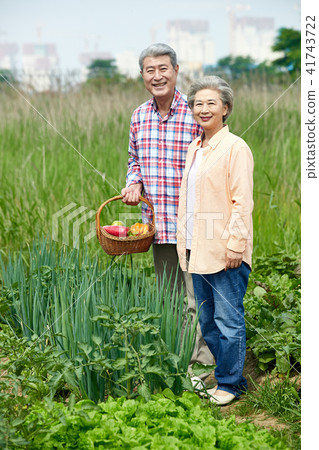 Happy Retirement Life Urban Farmer Leisure Life in Old Age Happy Retirement Life Urban Farmer Leisure Life in Old Age 41743722