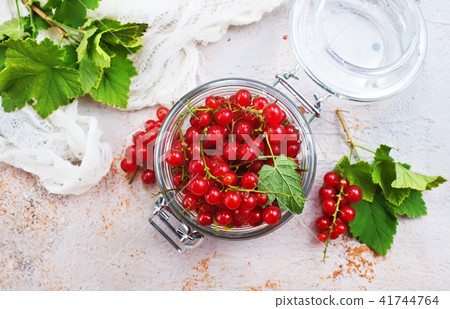red currant 41744764