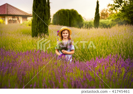 Little girl with lavender 41745461