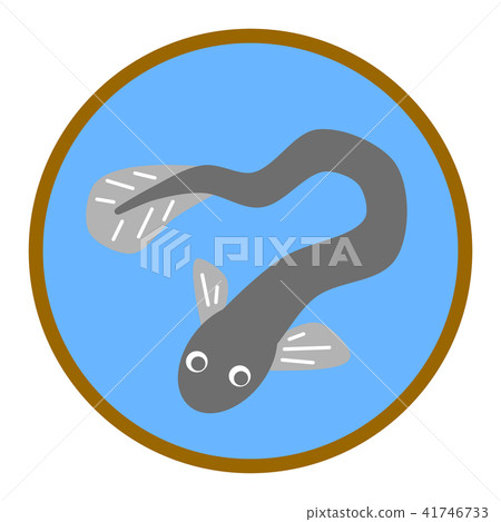 eel eel 41746733