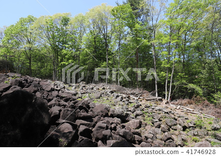 Nabekura河與奇怪的岩石 41746928