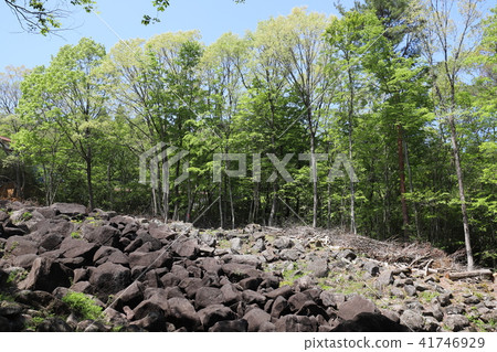 Nabekura河與奇怪的岩石 41746929