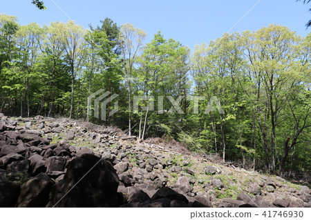 Nabekura河與奇怪的岩石 41746930