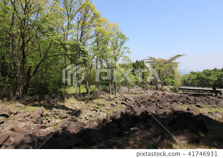 Nabekura河與奇怪的岩石 41746931