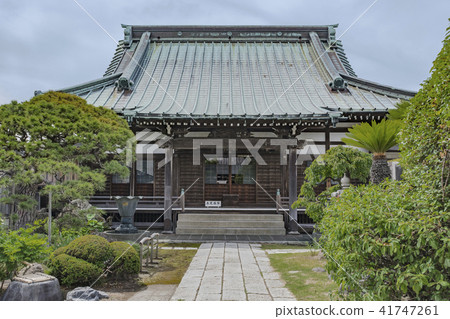 Kujyoji (Kamakura City Timberwoman) Kujyoji (Kamakura City Timberwoman) 41747261