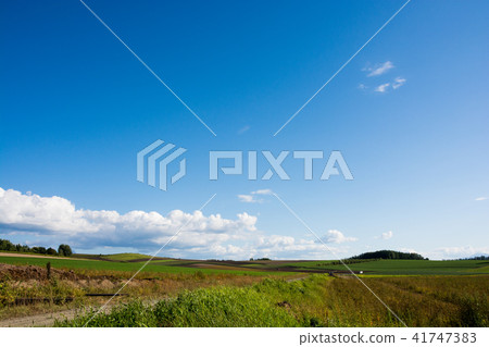 Upland field and blue sky Upland field and blue sky 41747383