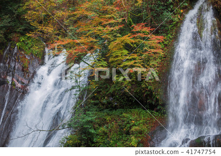 White water falls autumn leaves White water falls autumn leaves 41747754