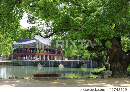 春香傳說！ 41748229