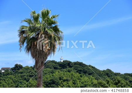 Lighthouse (Ako City) 41748858