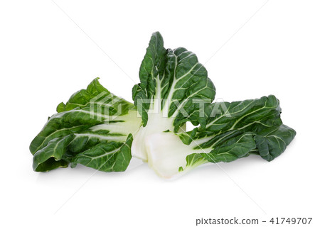 baby white pak choi isolated on white background baby white pak choi isolated on white background 41749707