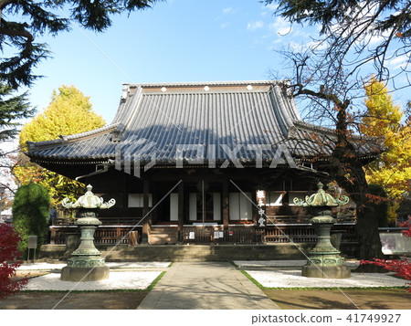Kaneiji寺在秋天與秋葉和黃葉添加著色(Nemoto Nakado) Kaneiji寺在秋天與秋葉和黃葉添加著色(Nemoto Nakado) 41749927