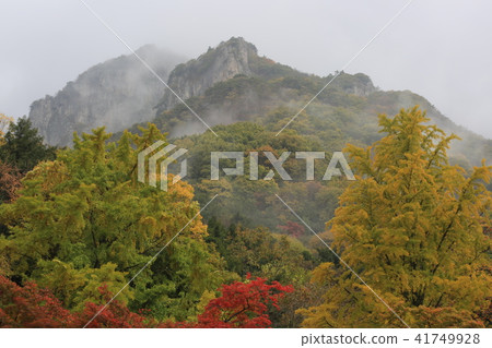 Baek Hak Bong Baek Hak Bong 41749928