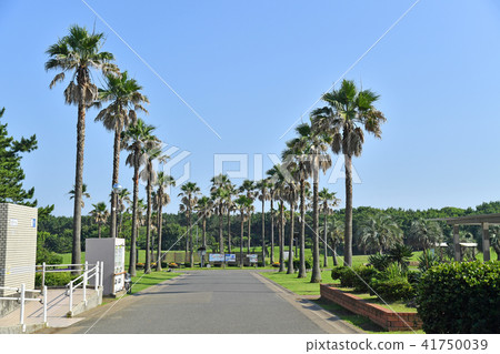 Kanagawa Fujisawa city Tsujido West Coast Tsujido beach park 41750039