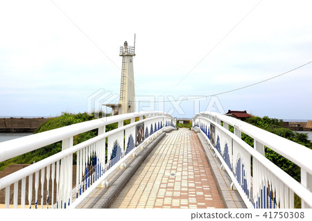 金浦漁港 41750308