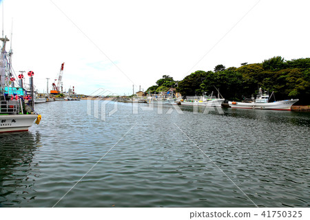 金浦漁港 41750325