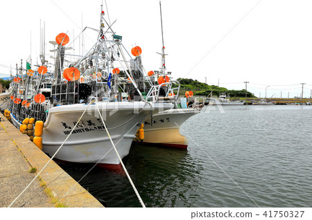 金浦漁港 41750327