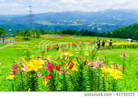 Dyna Land Yurien 41750355