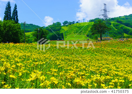 Dyna Land Yurien 41750375