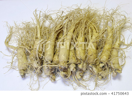 Ginseng 41750643