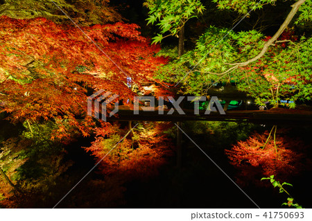 秋葉在Sogaki公園被點燃了 41750693