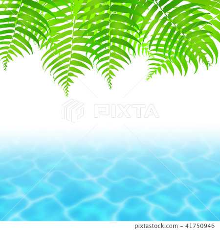 Monstera Plumeria棕櫚葉度假村熱帶水錶面癒合夏威夷 41750946