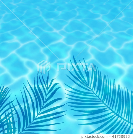 Monstera Plumeria Palm Leaves Resort Tropical Water Surface Healing Hawaii Monstera Plumeria Palm Leaves Resort Tropical Water Surface Healing Hawaii 41750953