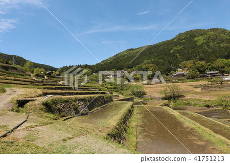 Slope rice terrace Slope rice terrace 41751213