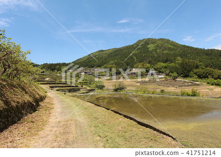 Slope rice terrace 41751214