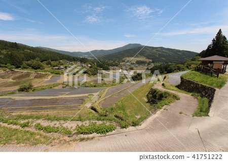 Slope rice terrace Slope rice terrace 41751222