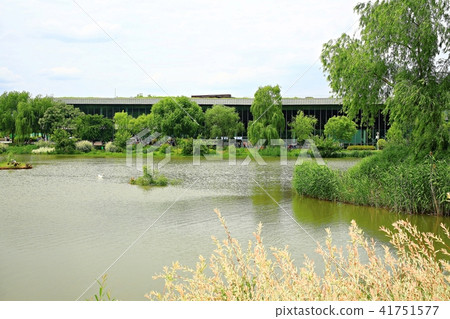 Healing Garden Healing Garden 41751577