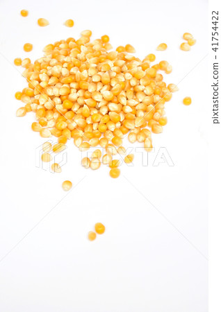 Maize corn 41754422