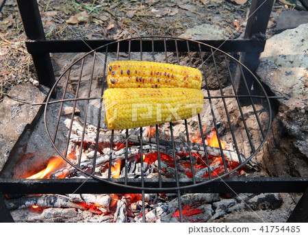 Corn grilled on fire 41754485
