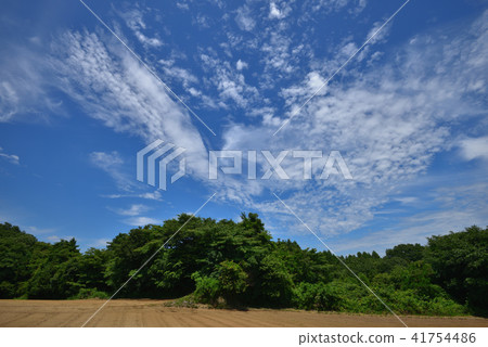 Summer sky Blue sky and white cloud of the rainy season 41754486
