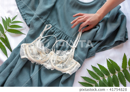 Fashion trendy lace lingerie.Women's underwear. Fashion trendy lace lingerie.Women's underwear. 41754828