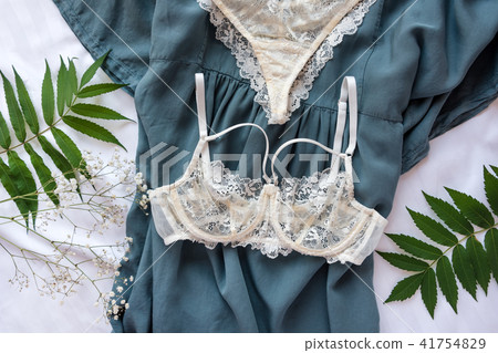 Fashion trendy lace lingerie.Women's underwear. Fashion trendy lace lingerie.Women's underwear. 41754829