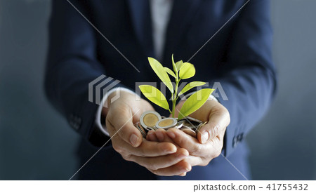 Invesment, sprout growing in coins on palm hands. 41755432