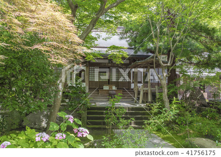 Kinkiji Aichi-do（鎌倉市Nikaido） 41756175