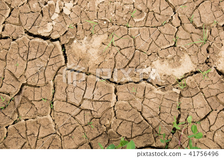The dried up cracked earth. texture of the earth The dried up cracked earth. texture of the earth 41756496