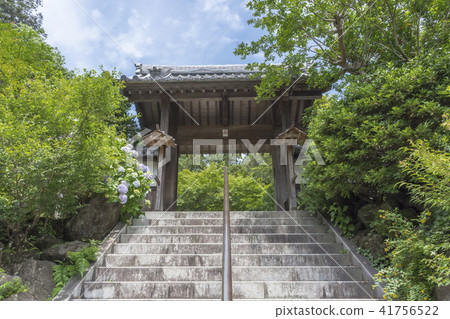 Kenzakuji (Kamakura City Nikaido) Kenzakuji (Kamakura City Nikaido) 41756522